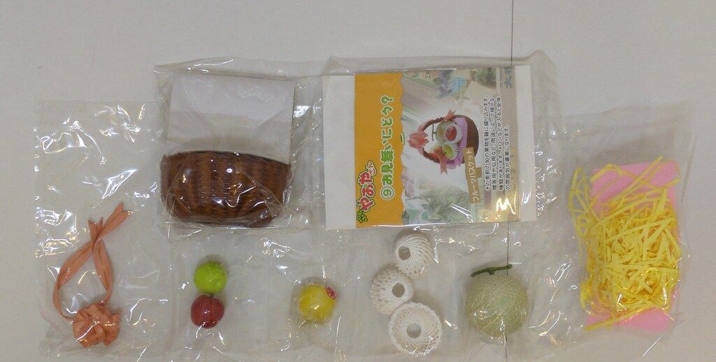 リーメント ぷちやおやさん 9.お見舞いにどう?