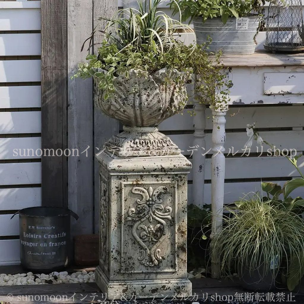 ココスヤシ 45Lナーセリーポット 安心の鉢植え ナーセリーポット 苗