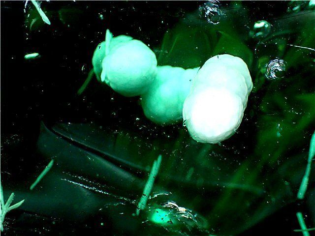 雪花オブシディアン原石B84Z3|116Z17C