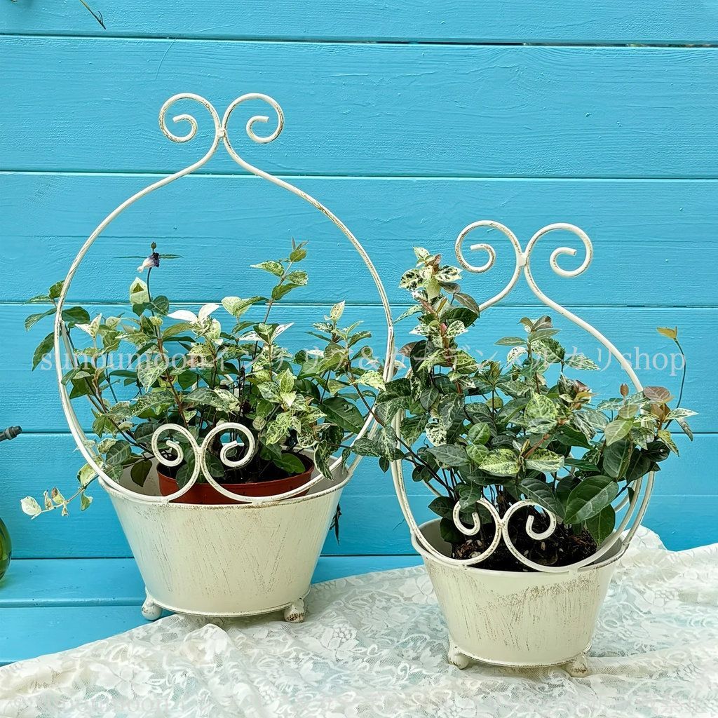 backsideworks ultra プランター 鉢 ホワイト 中 backsideworks ultra