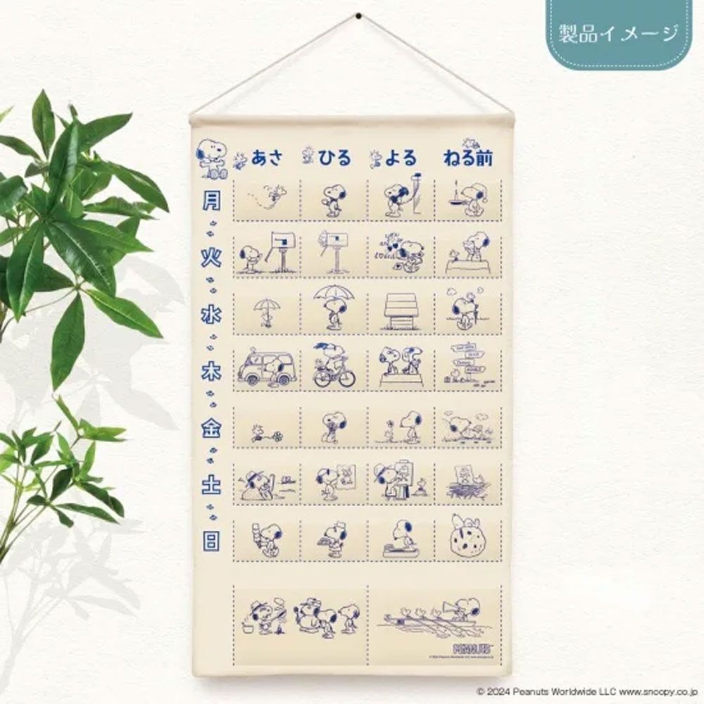 6個セット