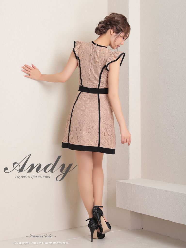 andy アンディ バイカラーレースドレスワンピース ベージュ
