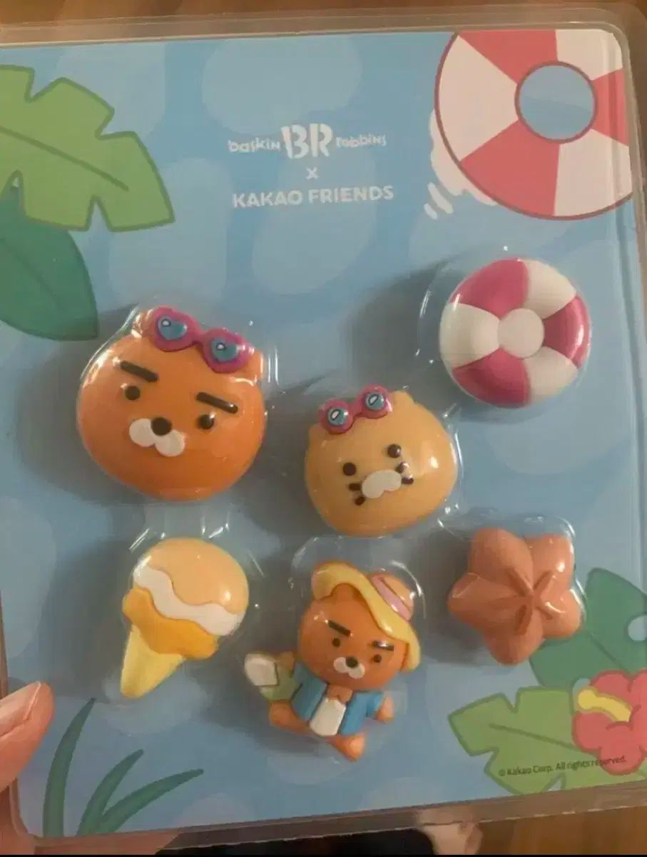 カカオ グビッツ ベラ