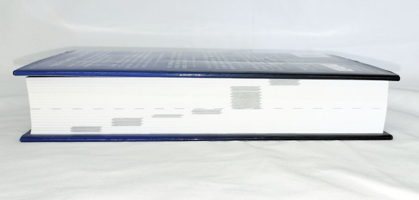 【最短翌日配送】 D.ゲーリー ヤング エッセンシャルオイル 総合医学ガイド アロマテラピー 自然療法 医学書