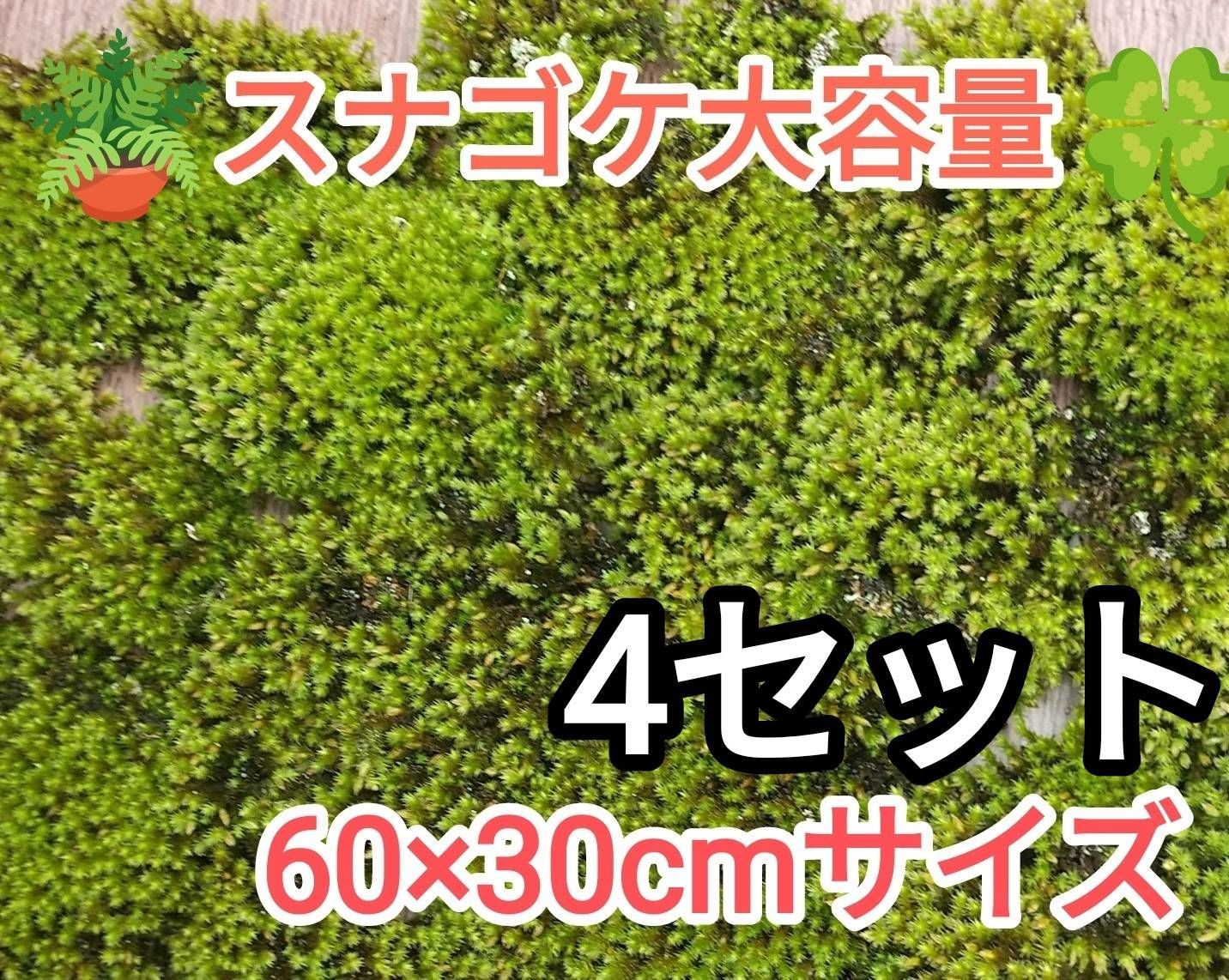 スナゴケ大容量 60×30cm×④セット