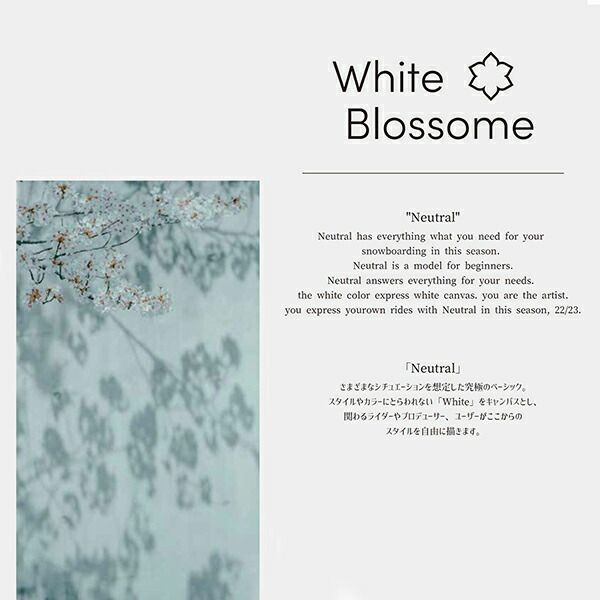スノーボード whiteblossom AM423 152cm white blossom White Blossome ホワイトブロッサム スノーボード 板 メンズ