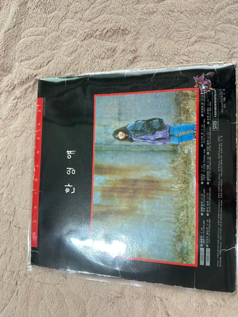 ハン ヨンエ 1 家 早い LP 1986 年 みょうばん ー 여울목 완행열차등