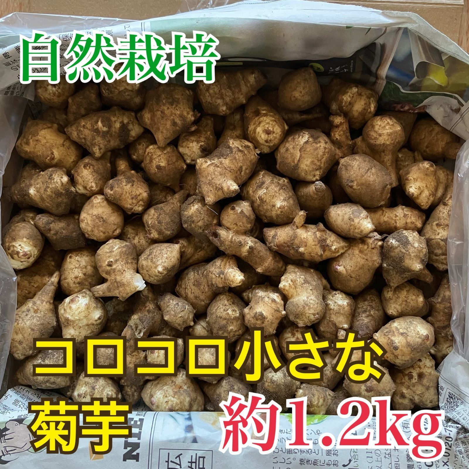 菊芋1.2kg - 野菜