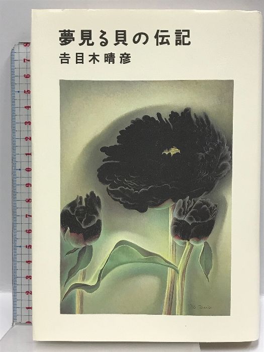 美芸 夢見る貝の伝記 講談社 吉目木 晴彦