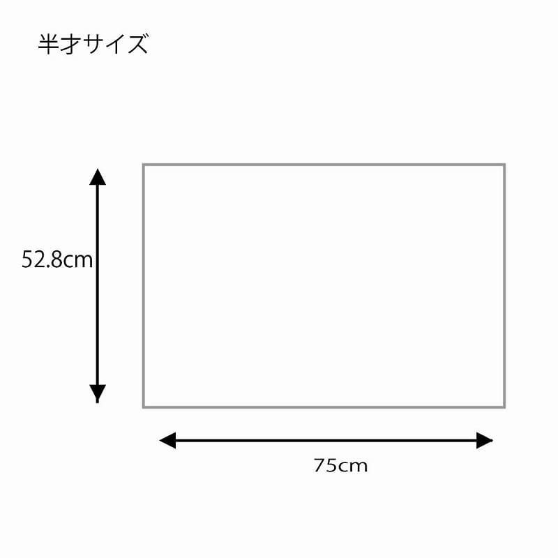 半才