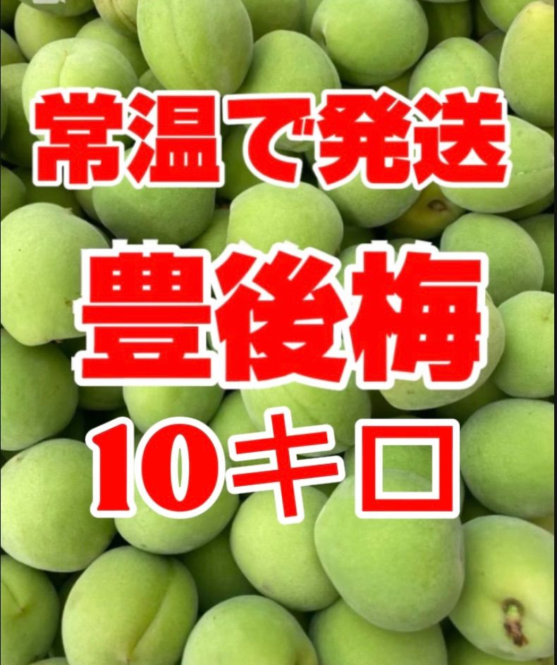 青梅　豊後梅10キロサイズL❗️ 青梅，豊後梅，Lサイズ以上、10 キロ箱込み( - メルカリ