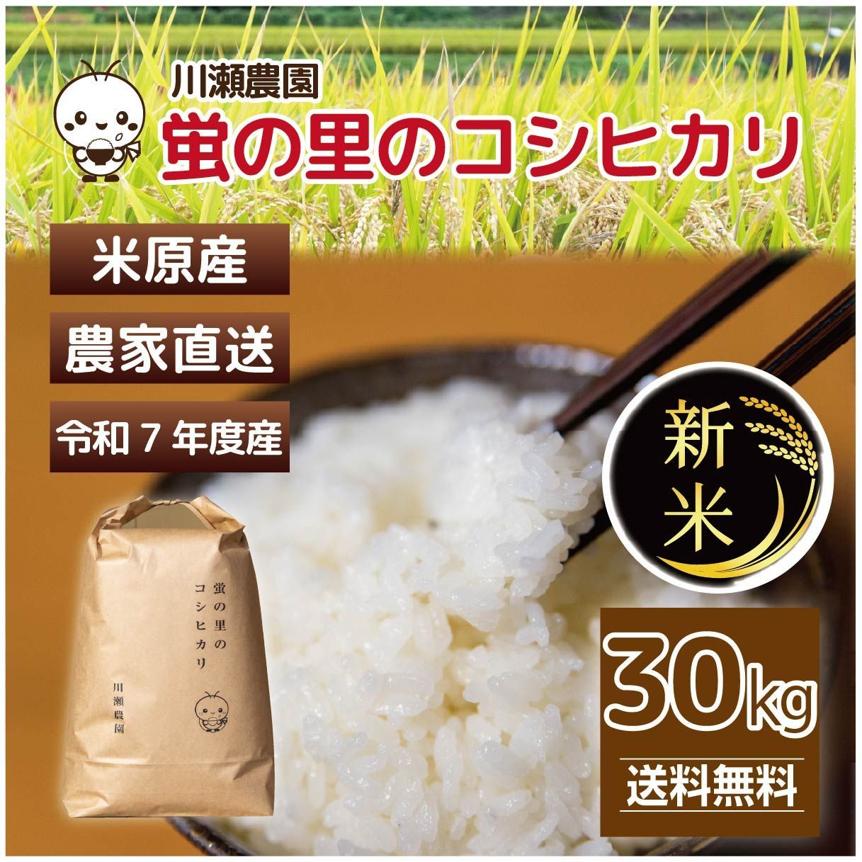 ◎新米◎ 蛍の里のコシヒカリ 30㎏ 令和７年産 農家直売