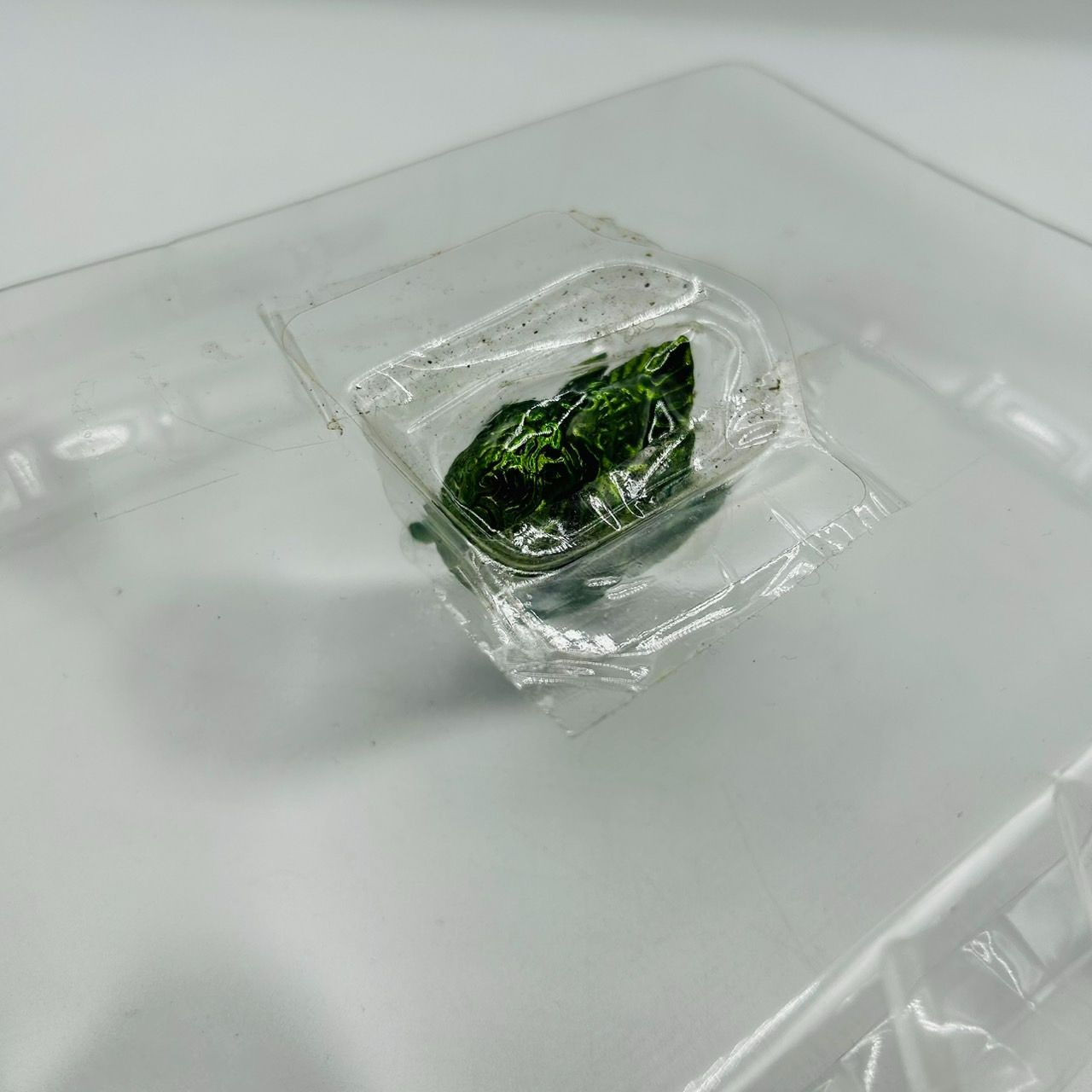 PS2 ソフト 黄金騎士 牙狼 GARO 限定版 烈火炎装 ザルバ プロップ 魔導