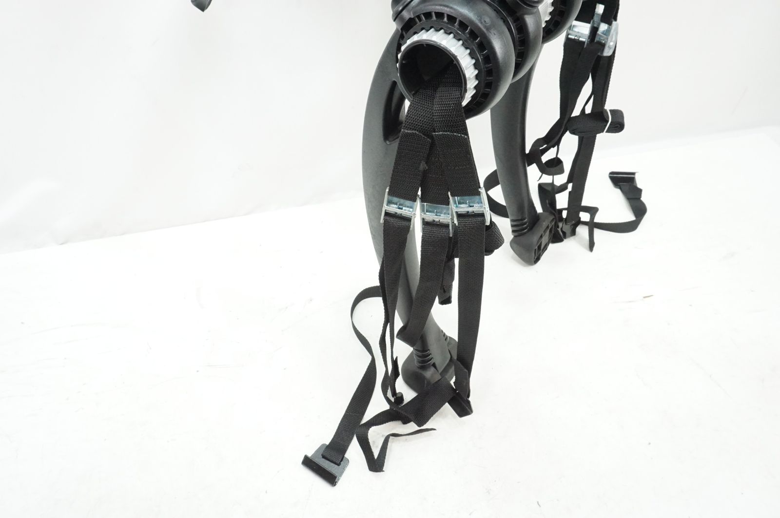 テルッツォ SARIS