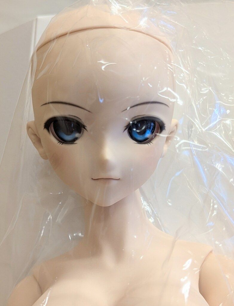 ボークス DD 魔法使いの夜 蒼崎青子