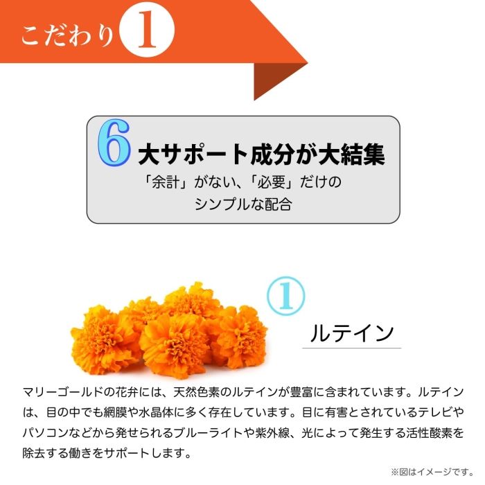 3営業日で発送