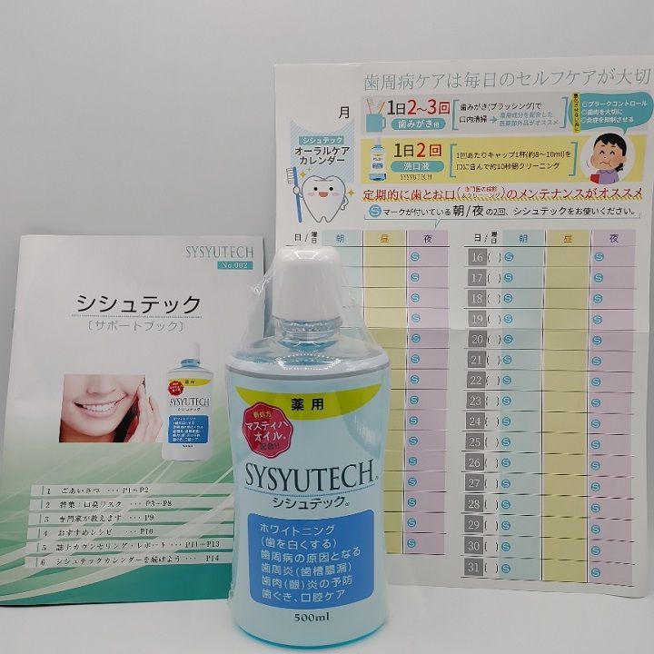 ビアンカ製薬 シシュテック液体歯磨 トゥースケア500ｍｌ２個 送料無料