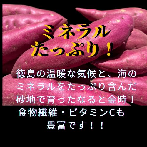 お得❕なると金時１０キロ(B品/不揃いですが美品です！) さつまいも