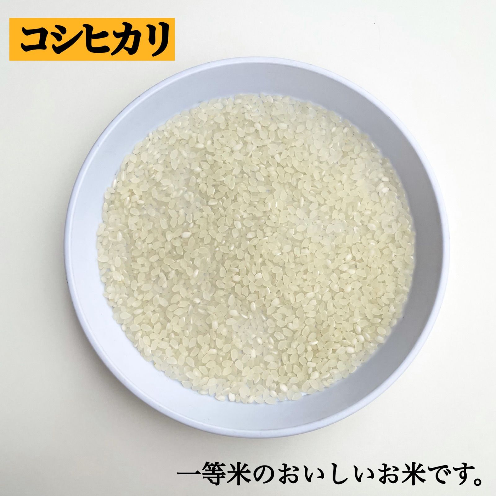 新米 令和5年 埼玉県産 コシヒカリ 玄米 20kg