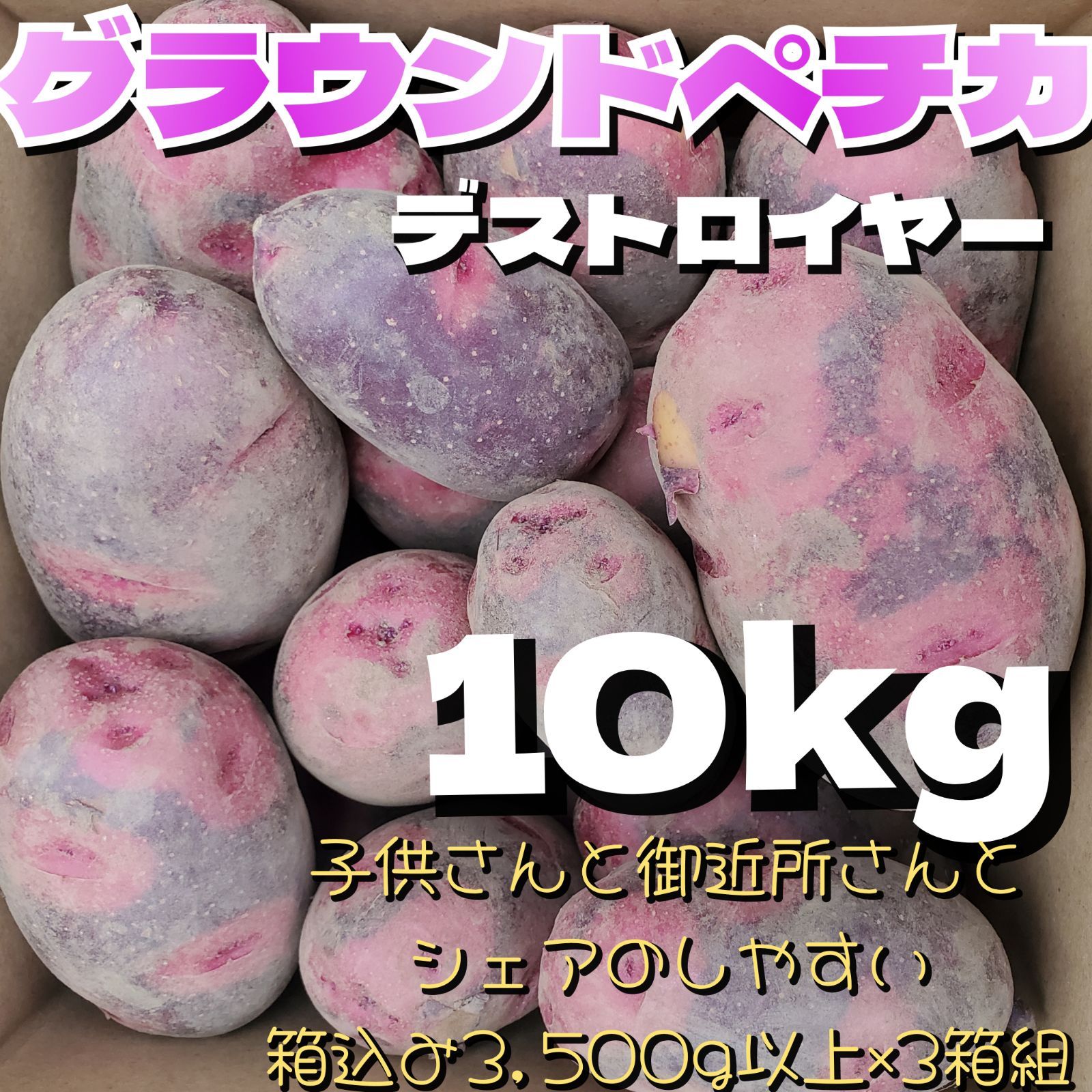 じゃがいも デストロイヤー 約10kg グラウンドペチカ