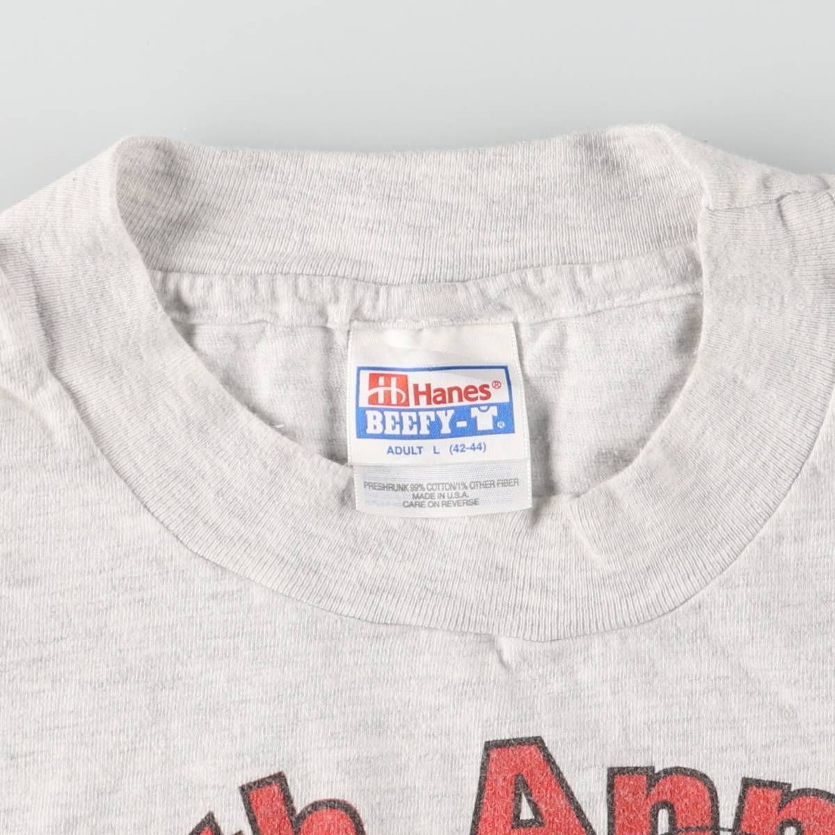 古着 90年代 ヘインズ Hanes BEEFY-T プリントTシャツ USA製 メンズL 