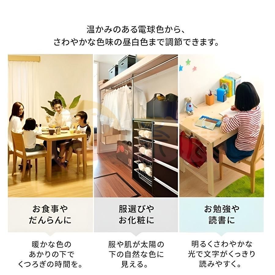 居間用 寝室
