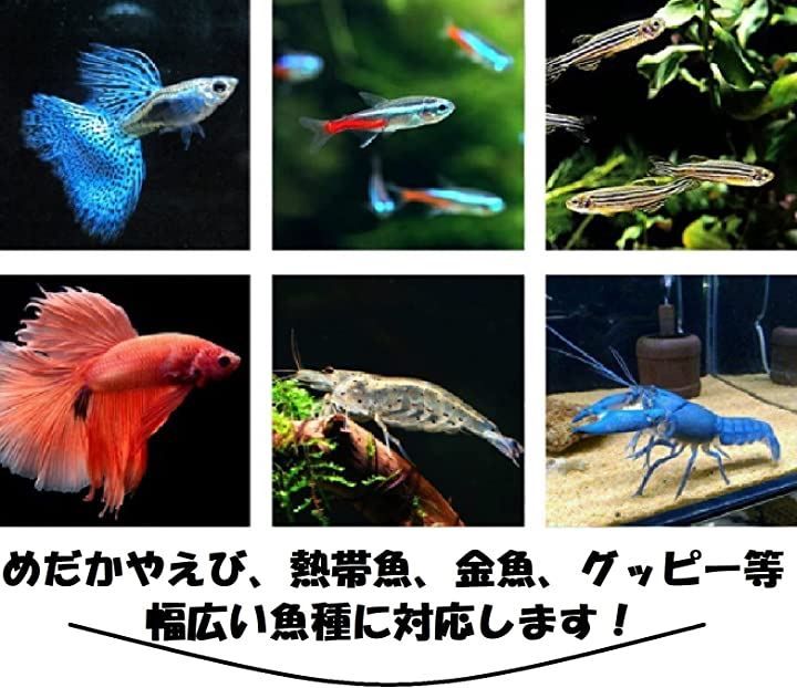 高級 熱帯魚 隔離箱 水槽 魚 繁殖 隔離ボックス 産卵飼育ネット メダカ