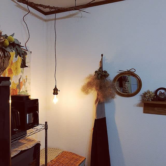 ODELIC オーデリック ペンダントライト 2個 OP252548LD レール