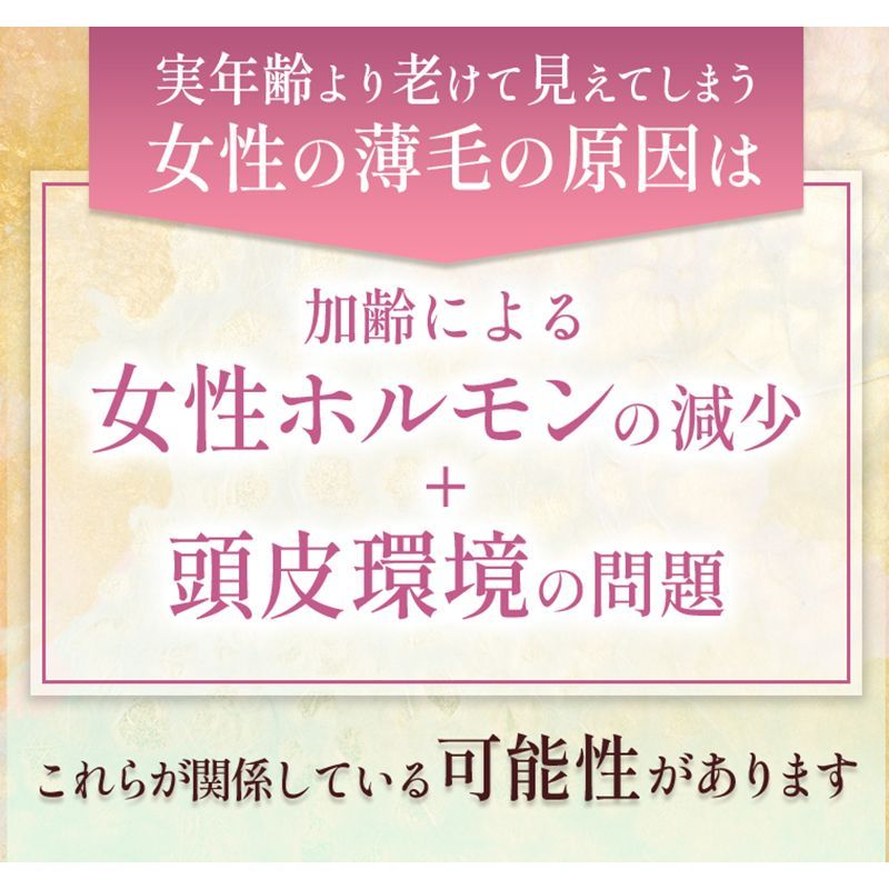 蘭夢公式】薬用育毛剤 蘭夢黄金率 医薬部外品 100ml - 蘭夢公式