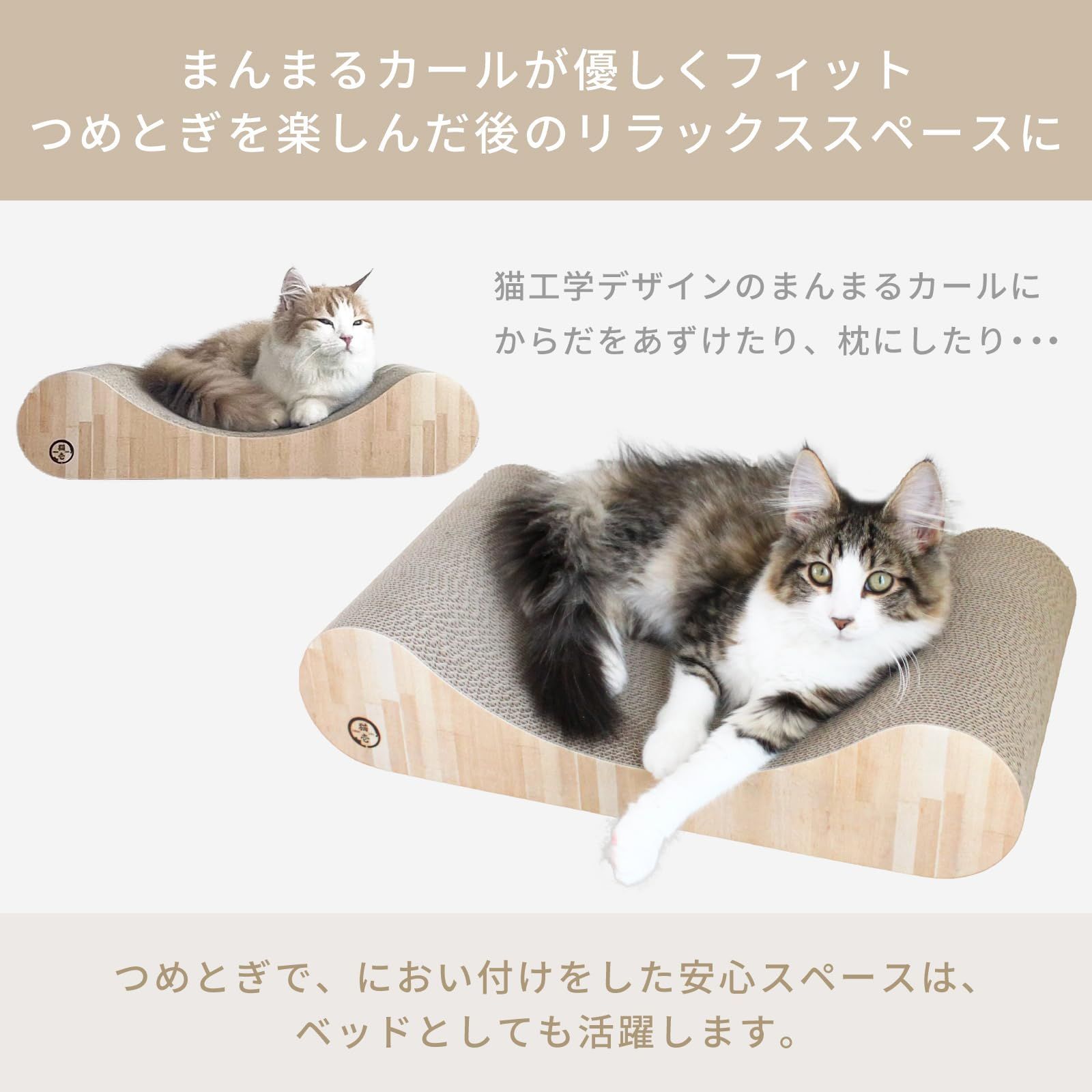 ライトブラウン カール