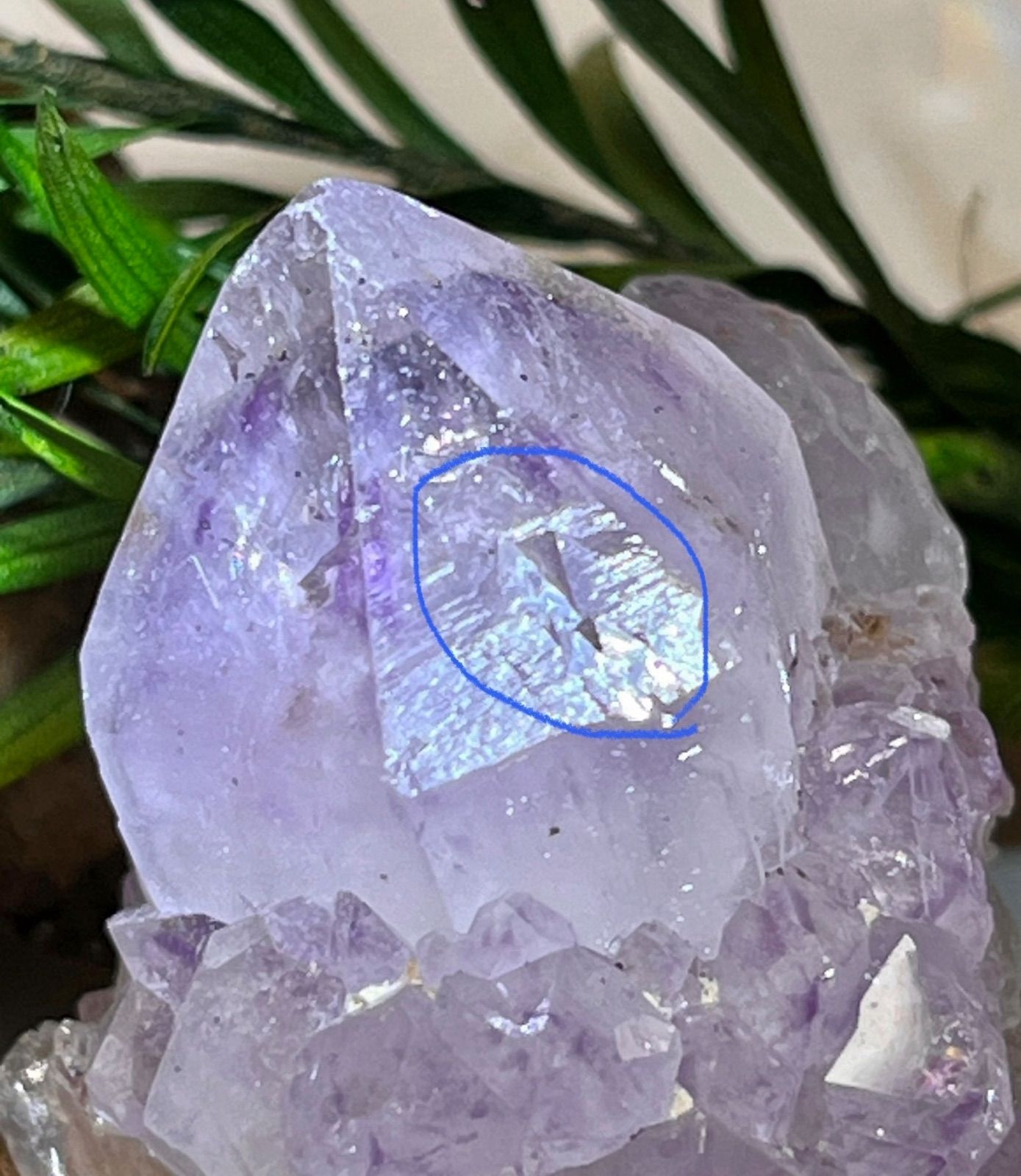トライゴーニック✨　虹入り　カクタスアメジスト　サボテン水晶　ラフストーン　原石 トライゴーニック 虹入り カクタスアメジスト サボテン水晶 ラフ