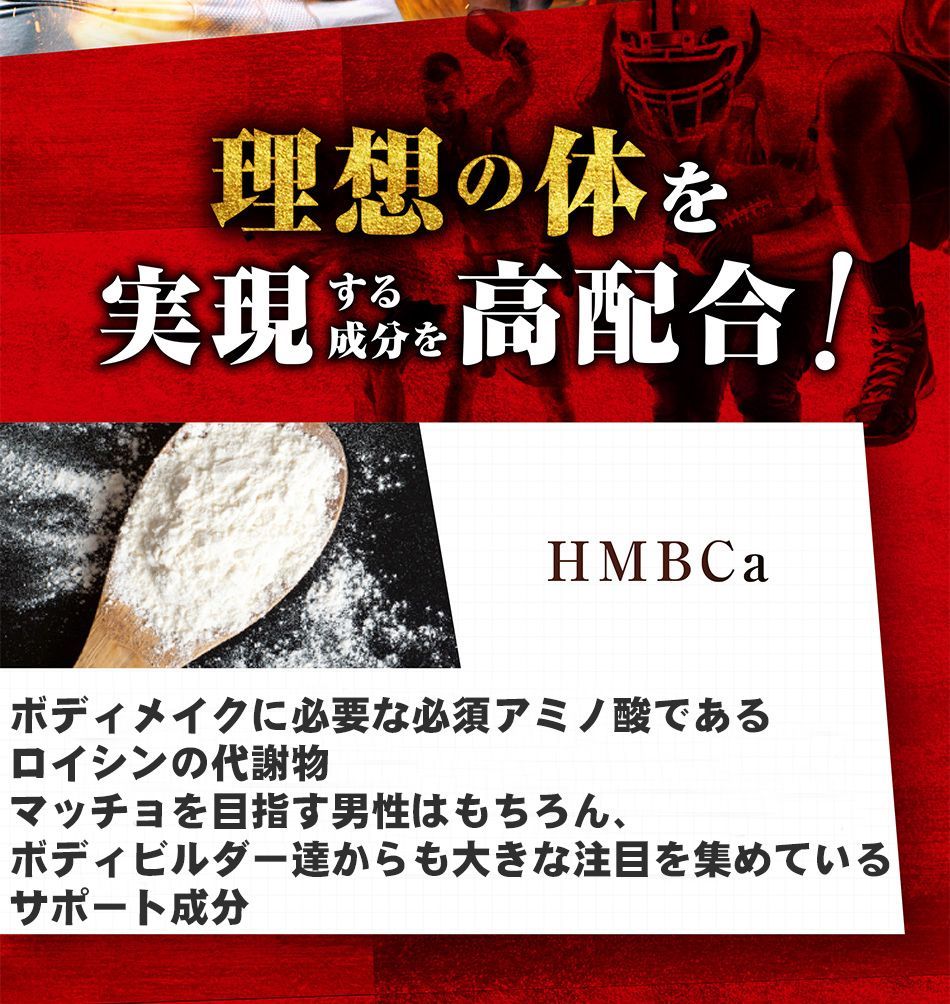 カルニチン 亜鉛