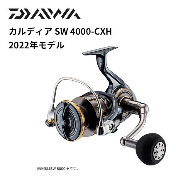 ダイワ(DAIWA) スピニングリール 22 カルディアSW 4000-CXH(2022