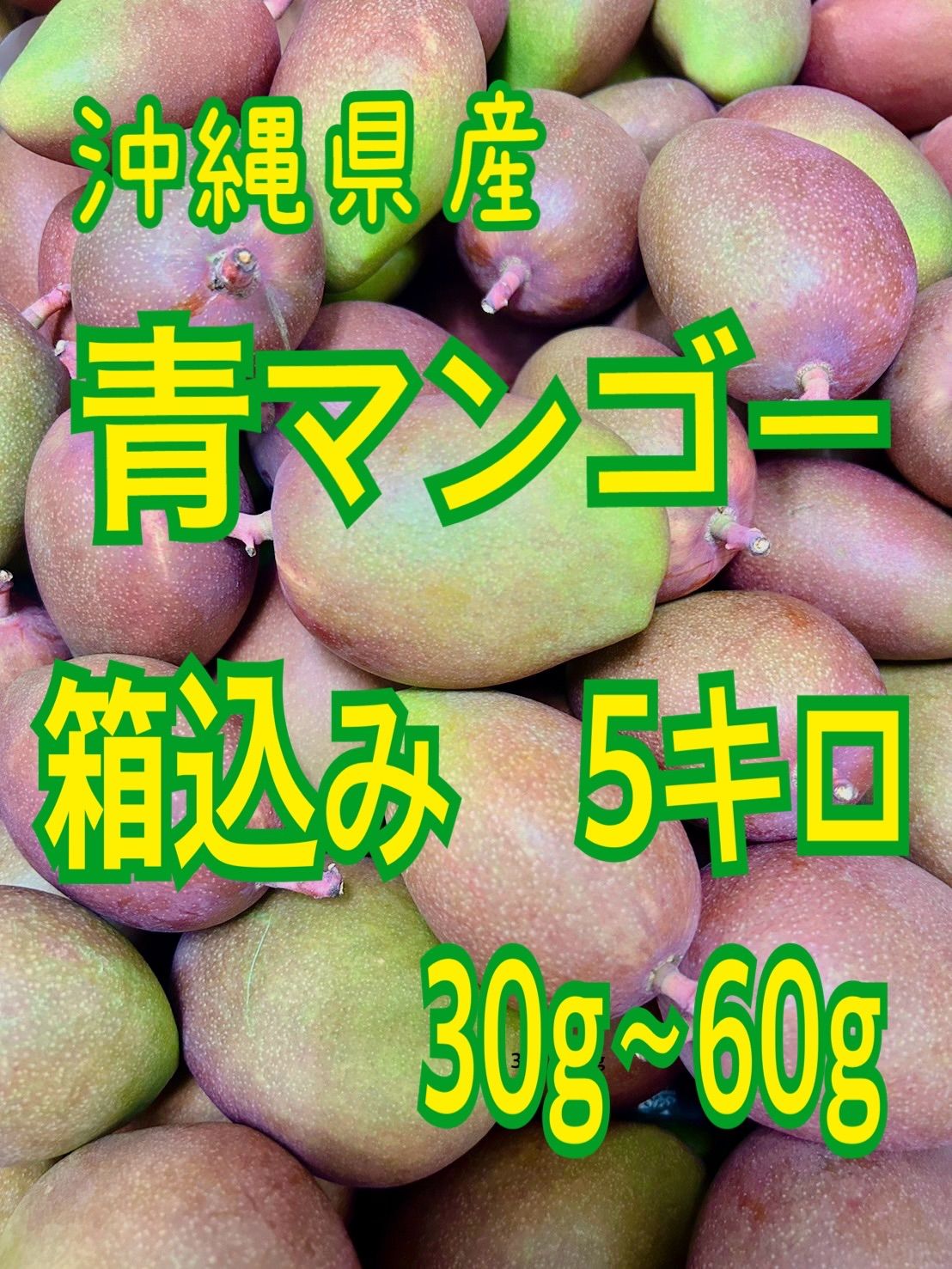 沖縄県産 青マンゴー箱込み5キロ