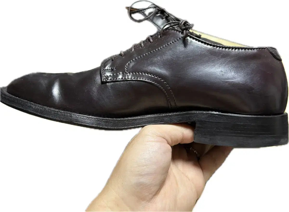 Alden オールデンビームス別注 9901 7.5Dコードバン ALDEN(オールデン) 9901 7 5d ALDEN(オールデン) コードバン BEAMS