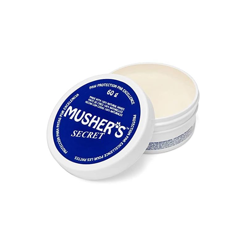 真作/木村武山/葡萄に百合根図/ユリネ図/果物図/掛軸/名家伝来/AD-939