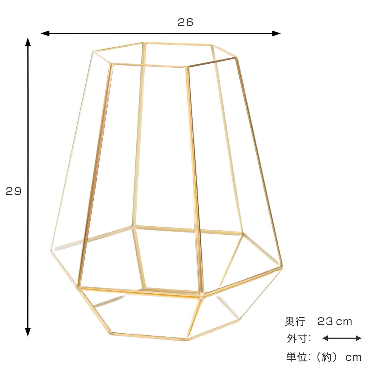 花瓶 ビッグフレームボトル ( 花びん 花器 フラワーベース 花瓶 ビッグフレームボトル ( 花びん 花器 フラワーベース