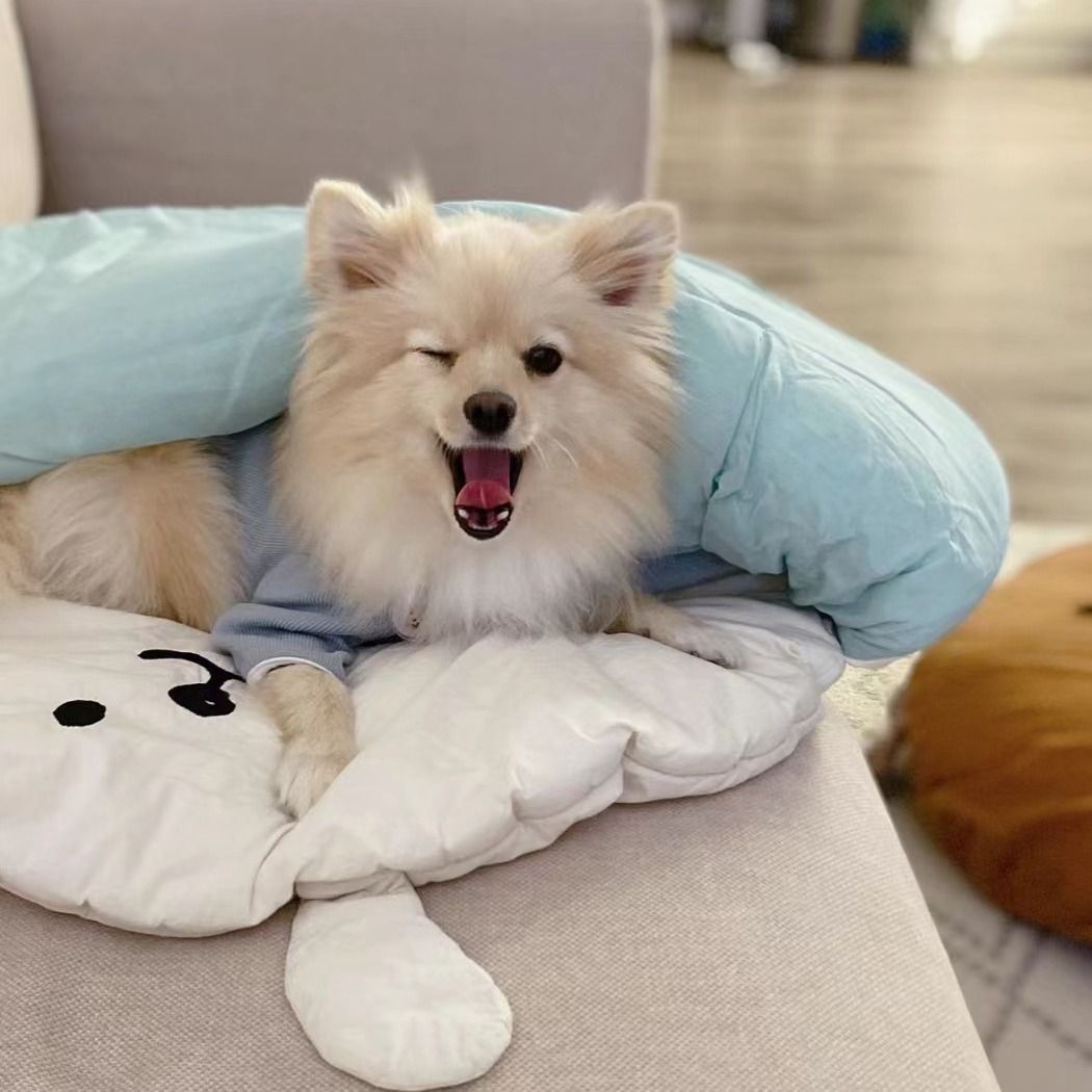 オールシーズン 犬用