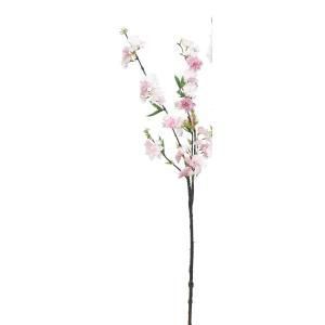 3営業日で発送 八重桜×57 A-33820-13 入数 6