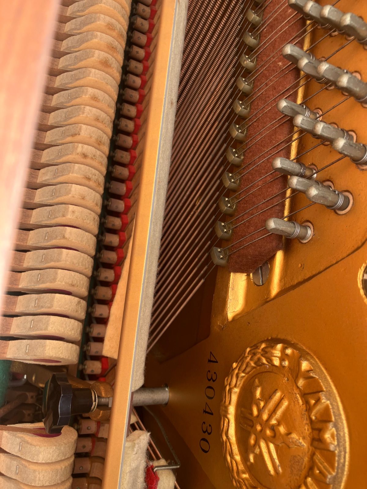 手入れ済み 保証付き