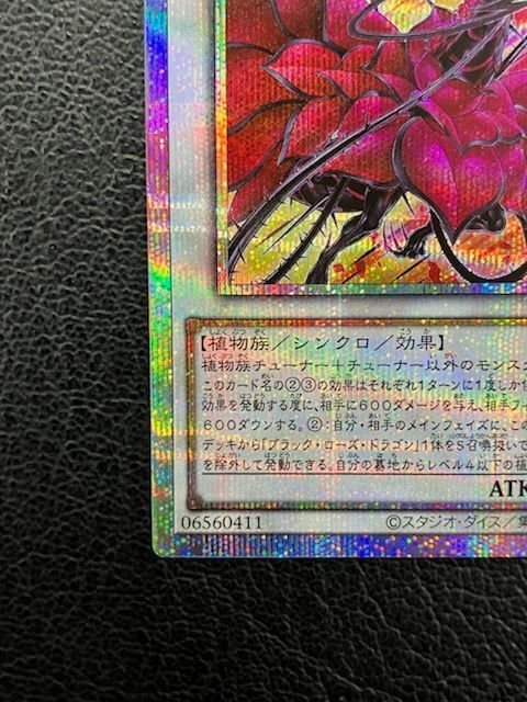 遊戯王　黒薔薇の破滅竜　プリズマシク、シークレット2枚 000000105138_krkdhGr.jpg