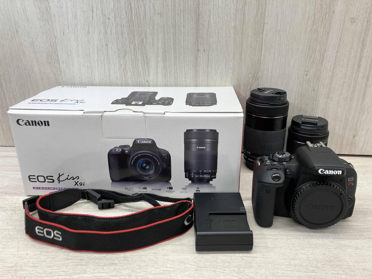 Canon EOS KISSX9i 1893C003 EOS Kiss X9i 1893C003 EF-S 18-55mm 1 4-5.6 IS STM EF-S 55-250mm 1 4-5.6 IS STM デジタル一眼