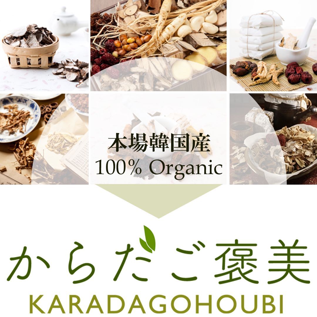ダイエット系 よもぎ蒸し