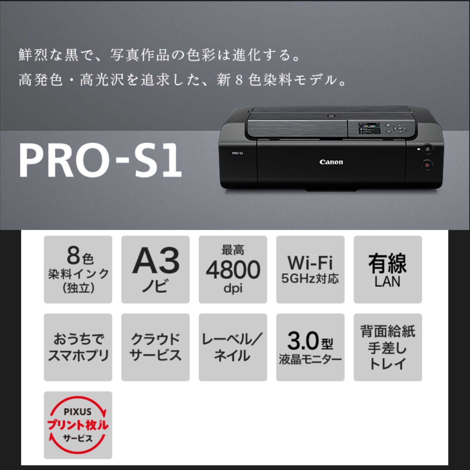 動作品Ｂ Canon PIXUS PRO インクジェットプリンター PRO-S1 ブラック BCI-66