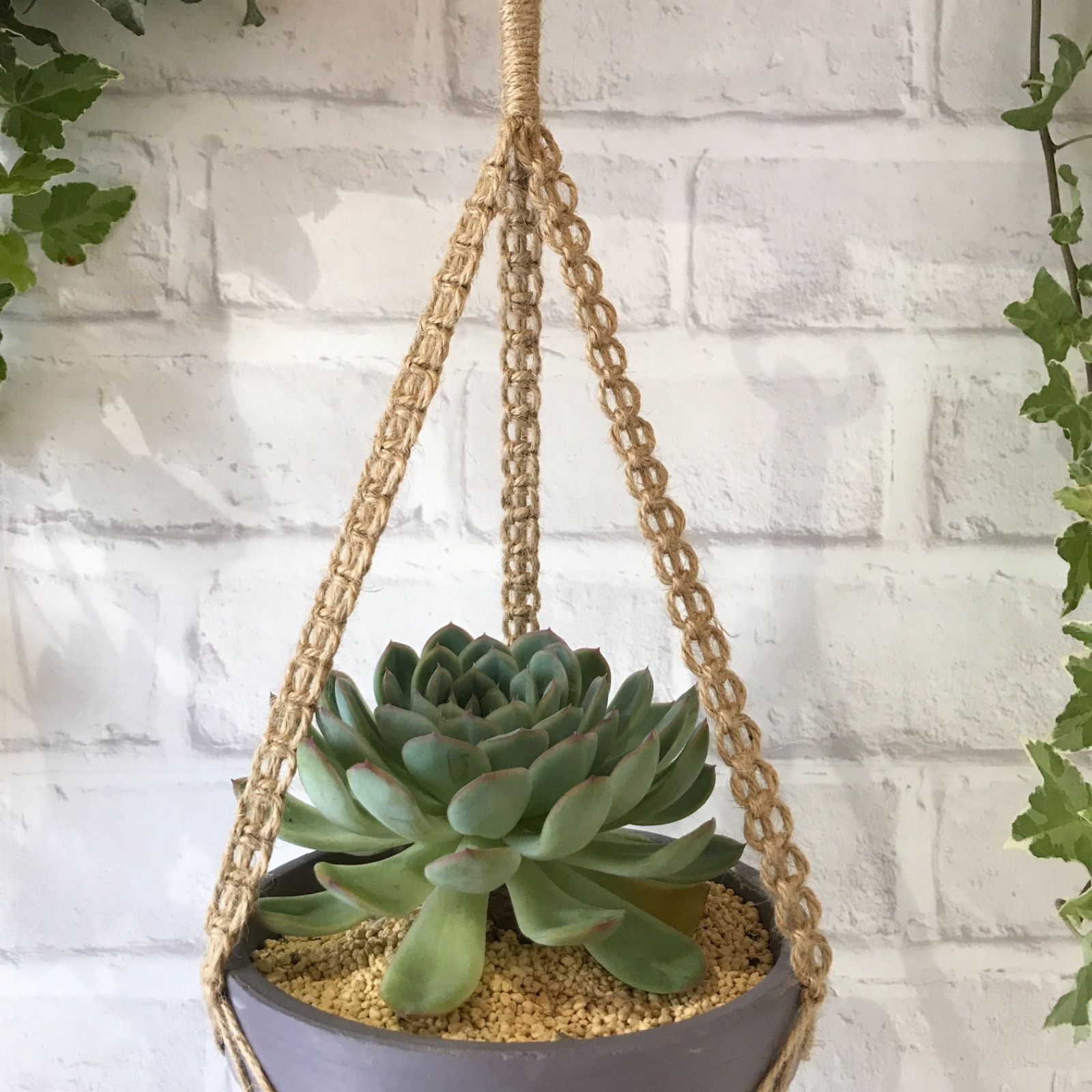 流木 マクラメ編み プラントハンガー No.5 流木 マクラメ編み プラント