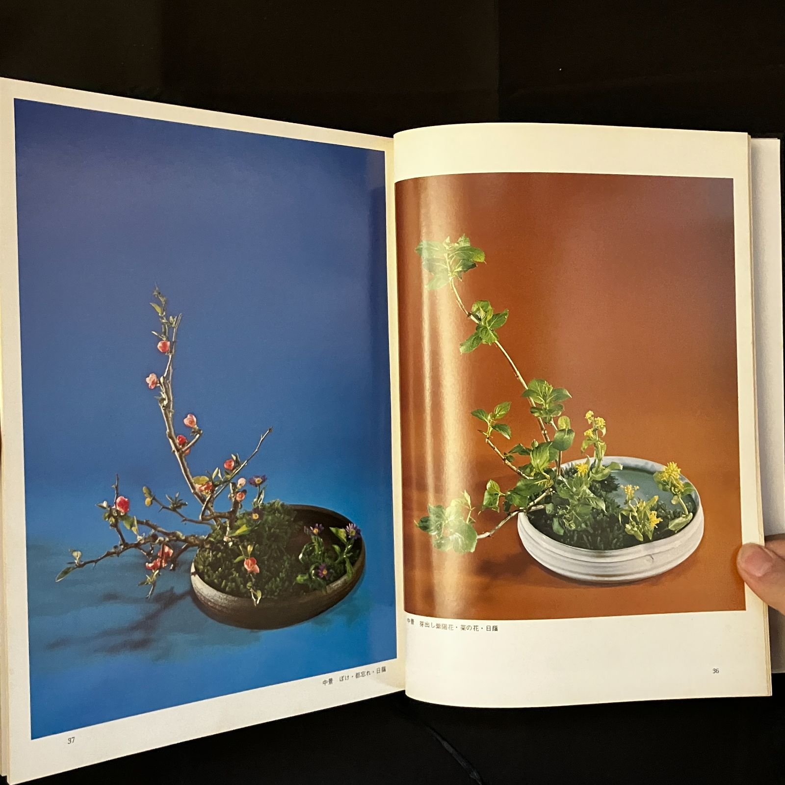 真生流 作品集/定本小原流様式集成 花道関連書籍 2冊セット ☆活