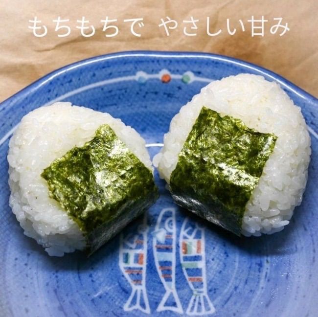 コシヒカリ