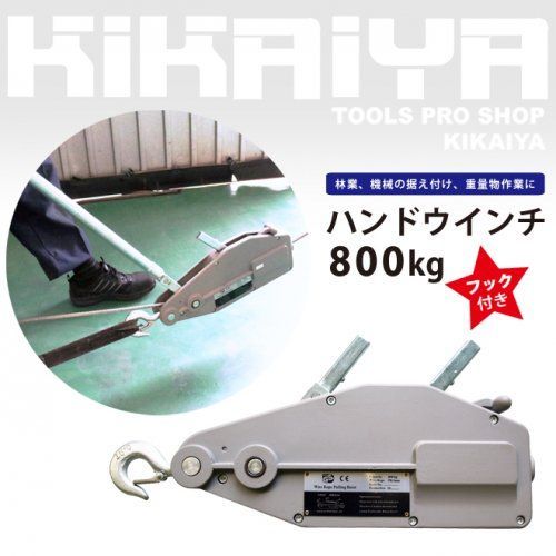 エカチェリーナ さま イチジク苗 ご確認用 イチジク 苗 【ホワイト