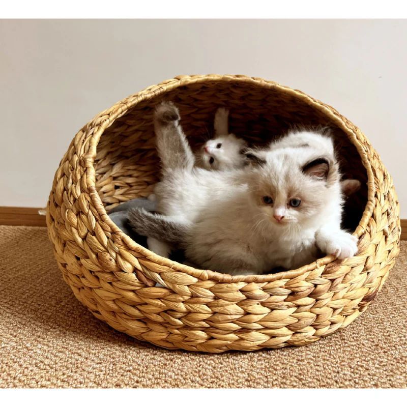 ヘリンボーン 手編み ボタニカル ちぐら 藤編み 猫 ハウス 半密閉 洗える 涼感 ca615 STEELWINDOWSANDDOORS_COM