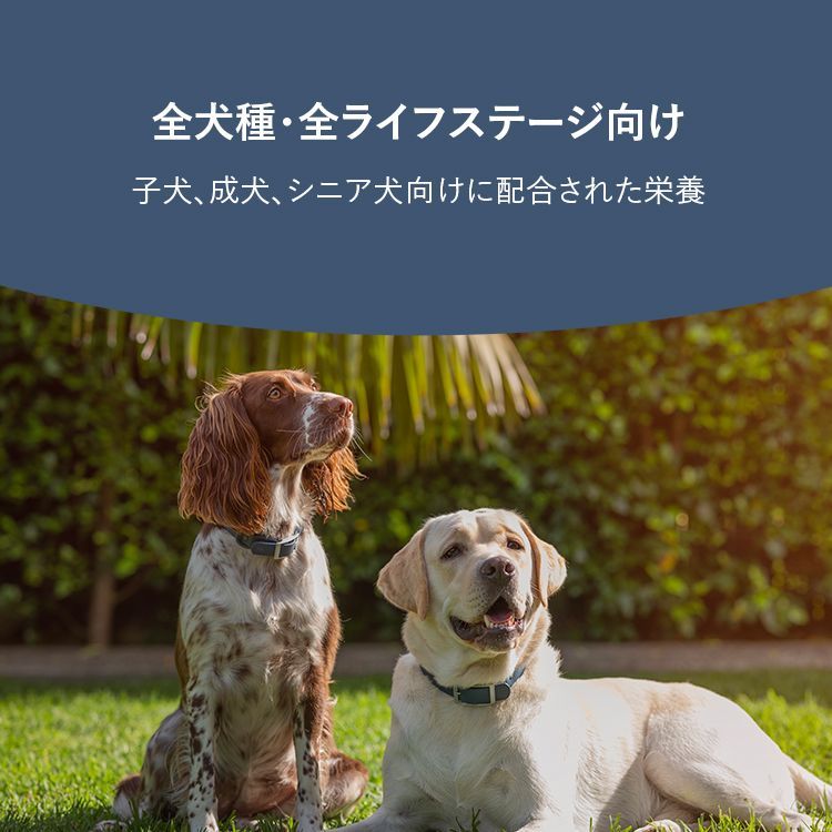 グリーンベジタブルレシピ
